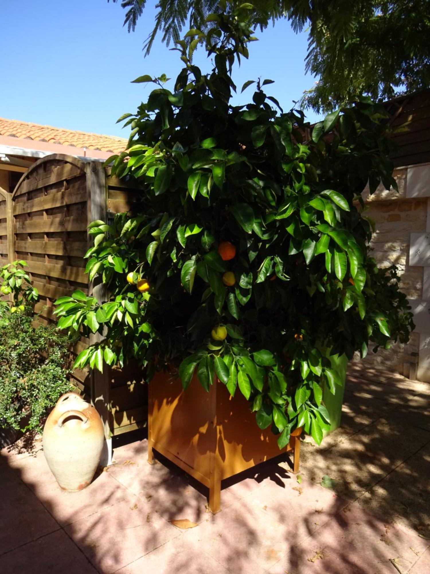 Aux Orangers Luxé Exterior foto