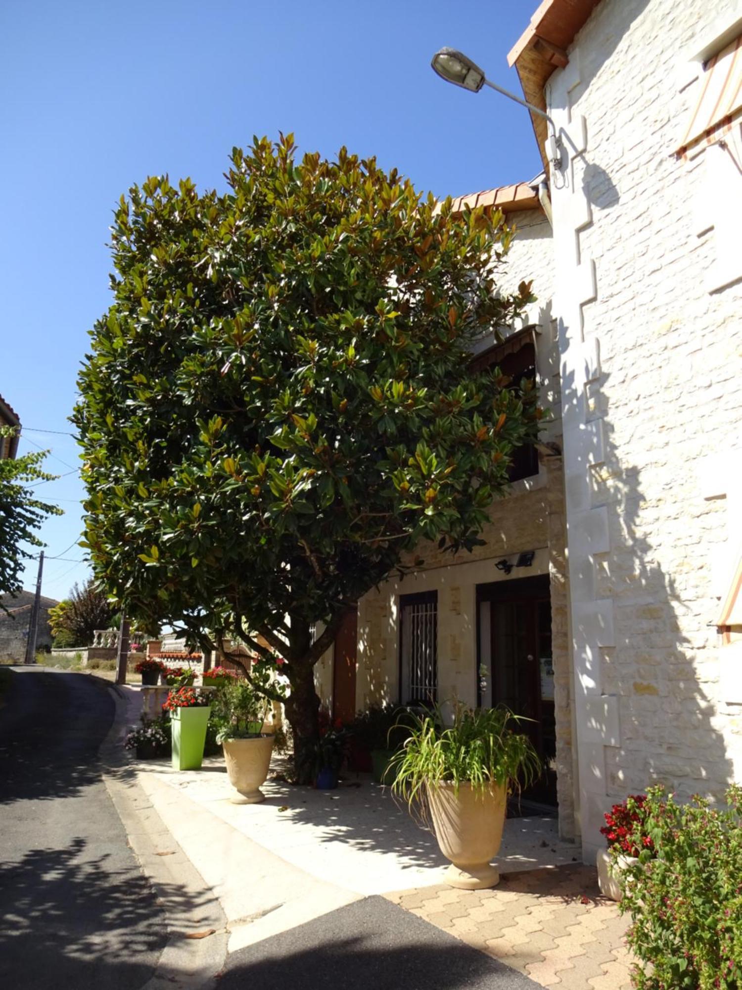 Aux Orangers Luxé Exterior foto